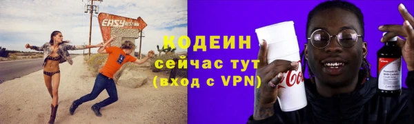 прущие грибы Ладушкин