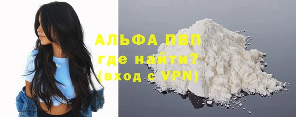 прущие грибы Ладушкин