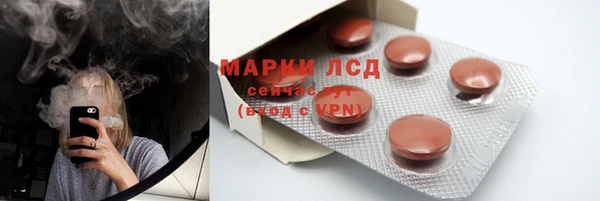 прущие грибы Ладушкин