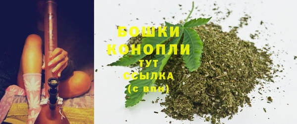крисы Лабытнанги