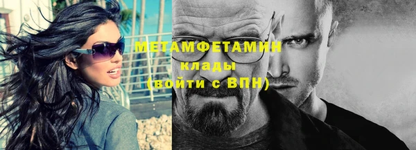 прущие грибы Ладушкин