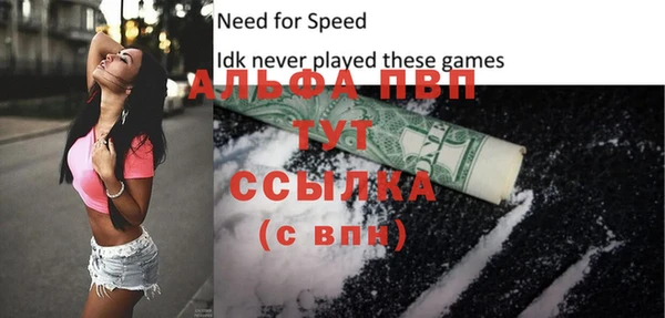 крисы Лабытнанги